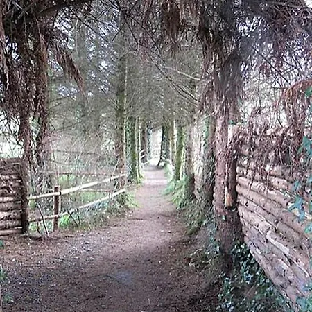 Charming For Two Guests By The River Shannon, Ireland بيت للعطل *