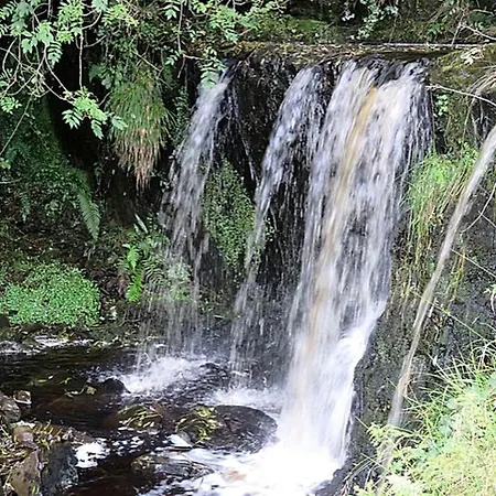 بيت للعطل Charming For Two Guests By The River Shannon, Ireland