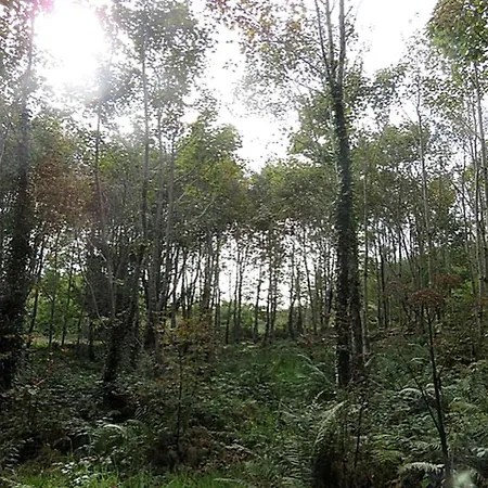 Charming For Two Guests By The River Shannon, Ireland بيت للعطل