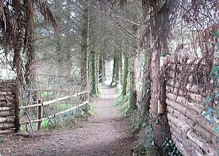 Charming For Two Guests By River Shannon, Ireland Vakantiehuis *