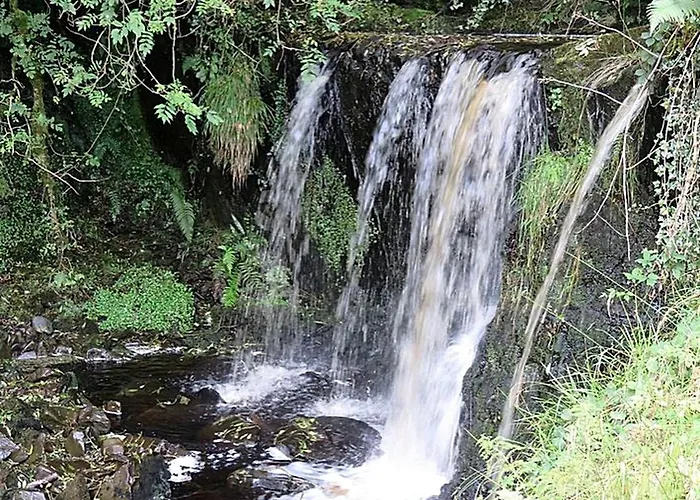 Vakantiehuis Charming For Two Guests By River Shannon, Ireland